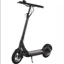 Adults Foldable Electric Scooter with En Standards